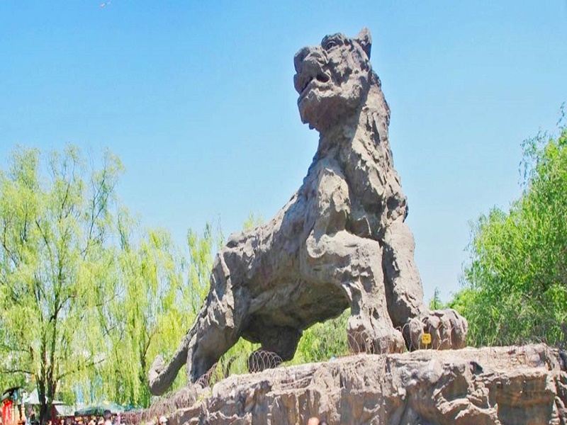 Arignar Anna Zoological Park 