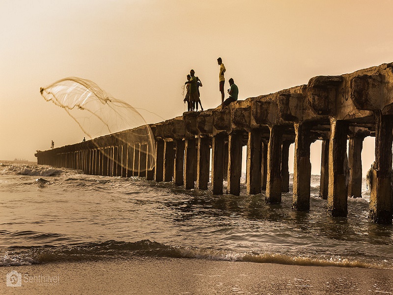 Fishing In Chennai 