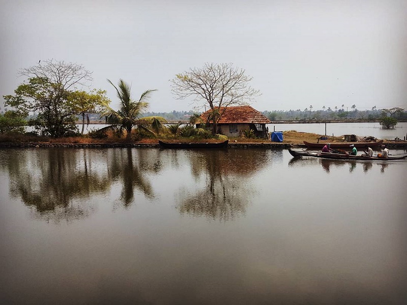 Veeranpuzha lake and Backwaters 