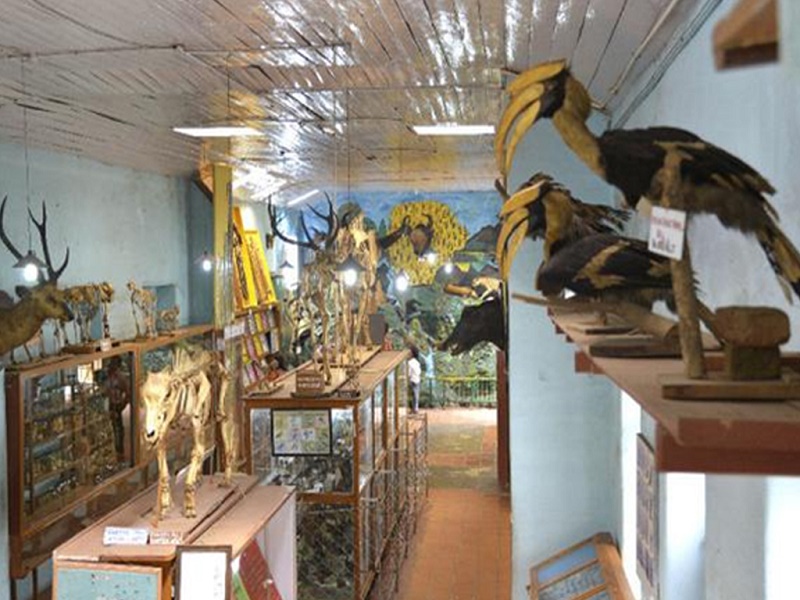 Shembaganur Museum Of Natural History 