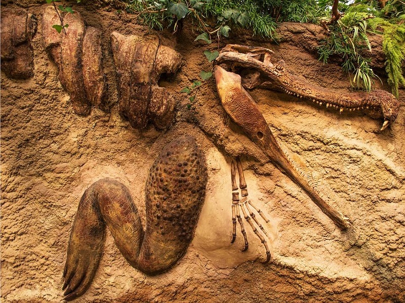 Akal Wood Fossil Park 
