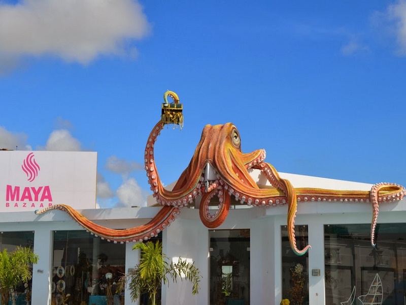 India Seashell Museum 