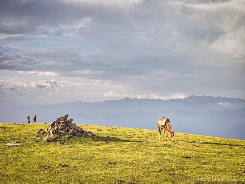 Patnitop-places-to-visit-images