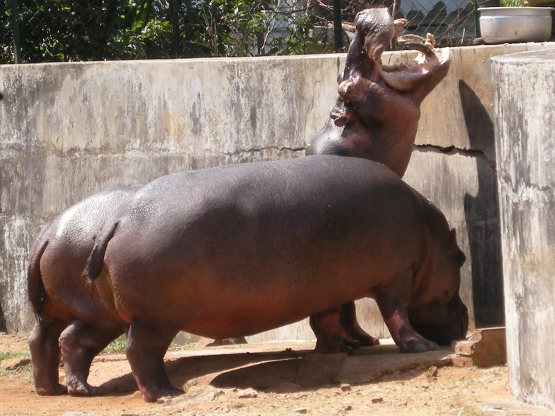 Thrissur-places-to-visit-images