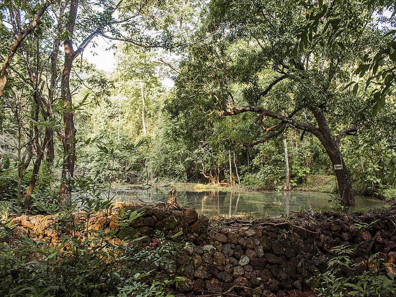 Phansad Bird Sanctuary 