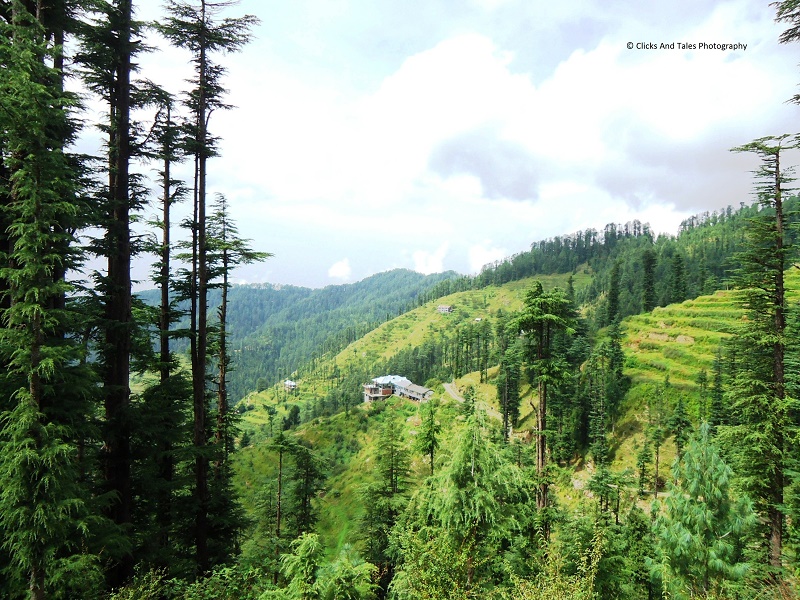 Kufri-places-to-visit-images