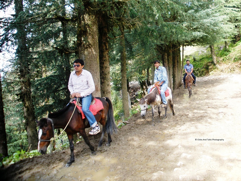 Kufri-places-to-visit-images