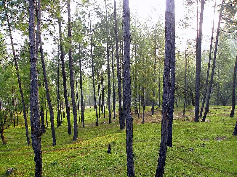 Bageshwar-places-to-visit-images