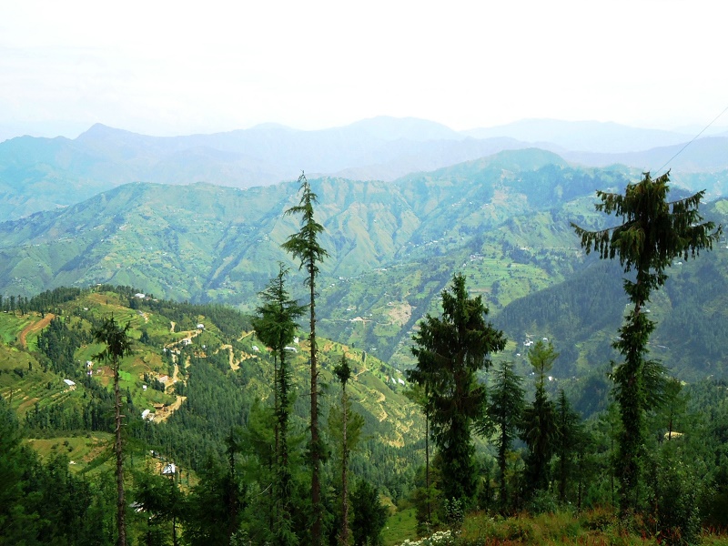 Mashobra-places-to-visit-images