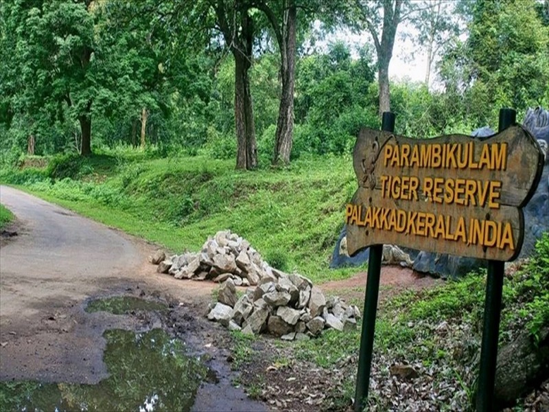 Mashobra-places-to-visit-images