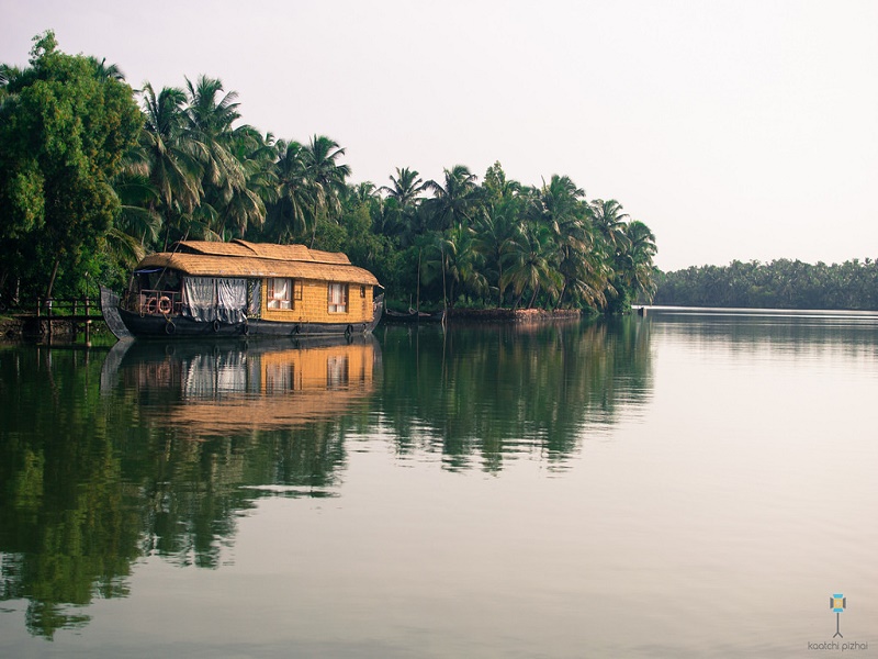  Valiyaparamba Backwaters 