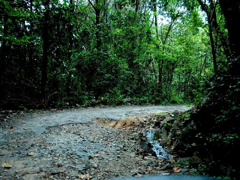  Bisle Ghat & Forest Reserve 