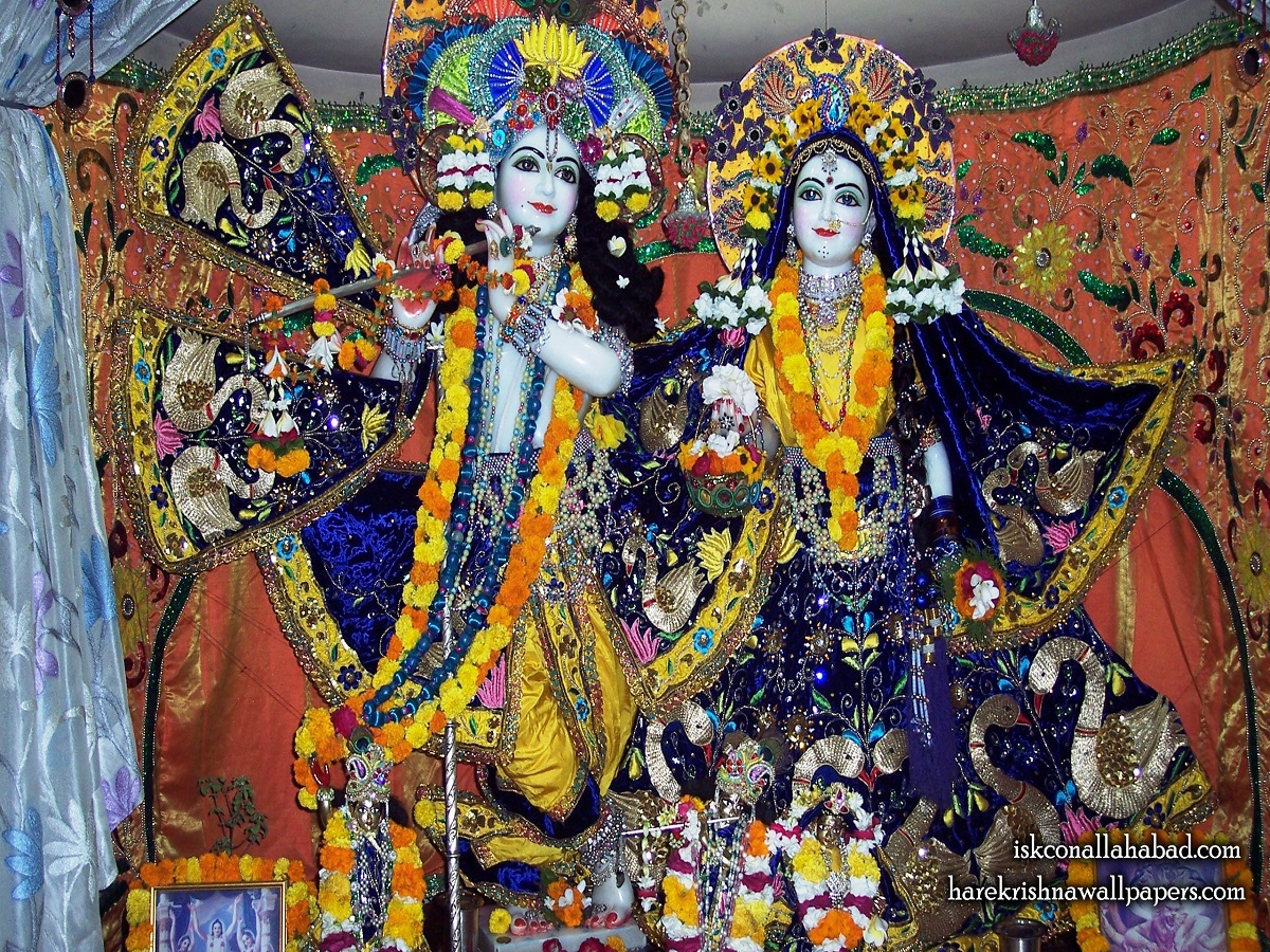 ISKCON Allahabad Sri Sri Radha Venimadhav Temple