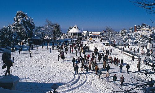 Week in Manali 7 D/ 8 Nights